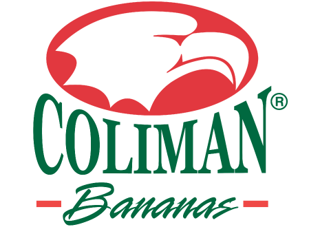 Logo-Collman---Guzgo-JR